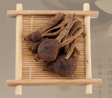 茶树菇干货不开伞 农家特产茶薪菇 冰菇苞