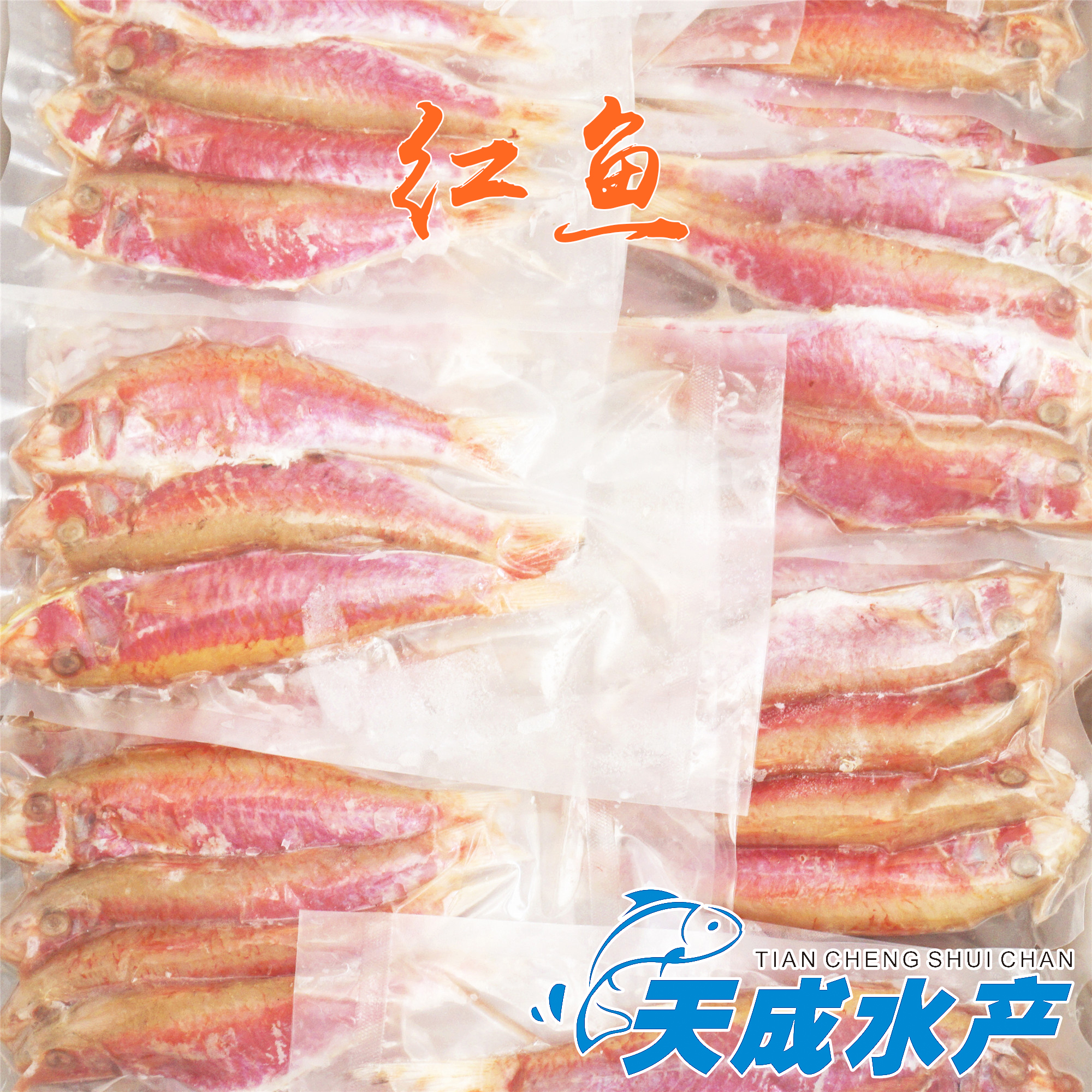 汕尾特产 本港深海野生小红鱼 一夜埕新鲜小红鱼 真空包装 500g