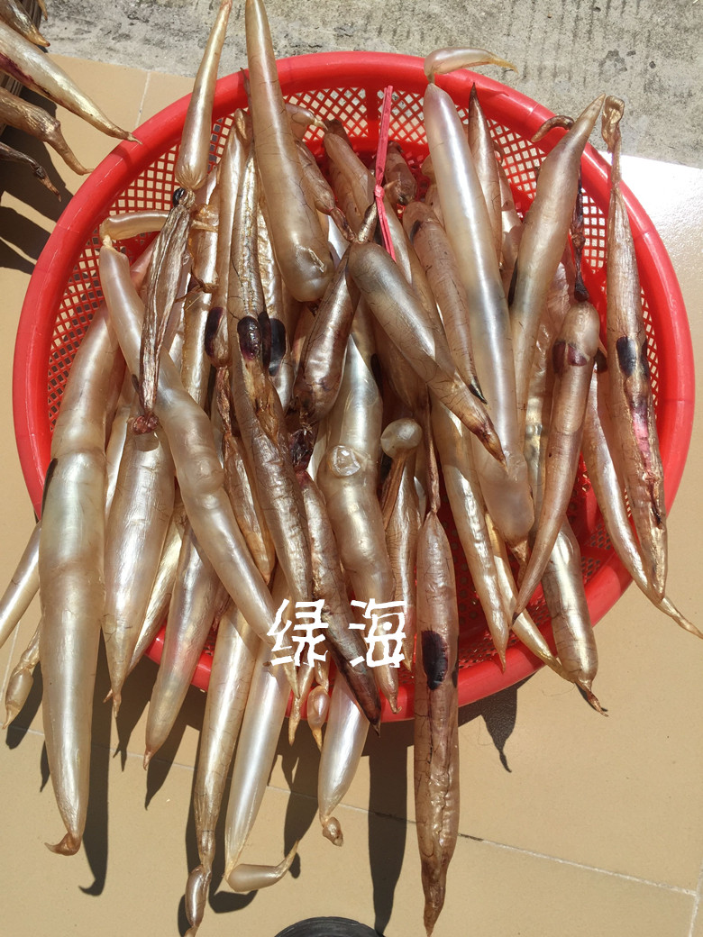 鱼胶花胶鳗鱼胶汕尾本港麻鱼鳔自晒海产干货滋补养胃养颜250克