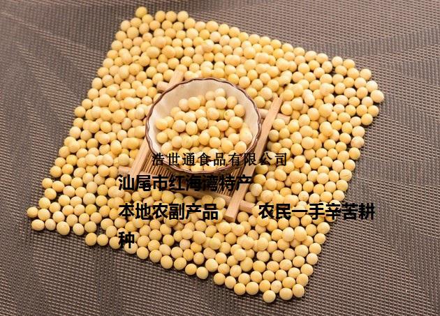 汕尾特产-黄豆 农民自种黄豆 海丰 红海湾自种的黄豆 豆浆元料