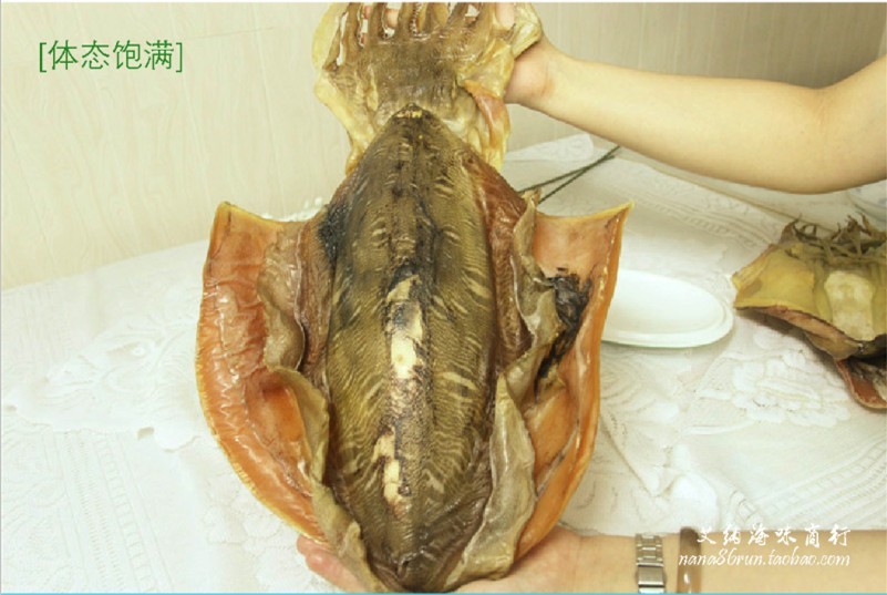 八爪鱼 干墨鱼脯 乌贼 煲汤炖菜 汕尾特产 猪脚墨脯鸡 约1斤/个
