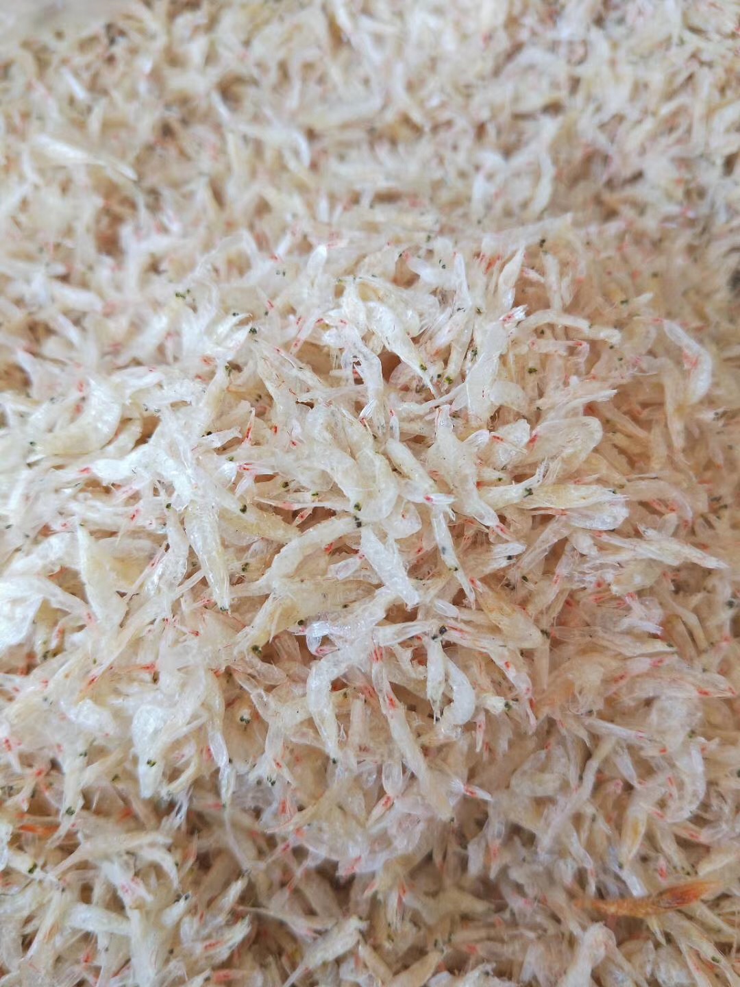 汕尾虾苗虾皮500g广东潮汕特产地方特色干货虾皮粉补钙野生无添加