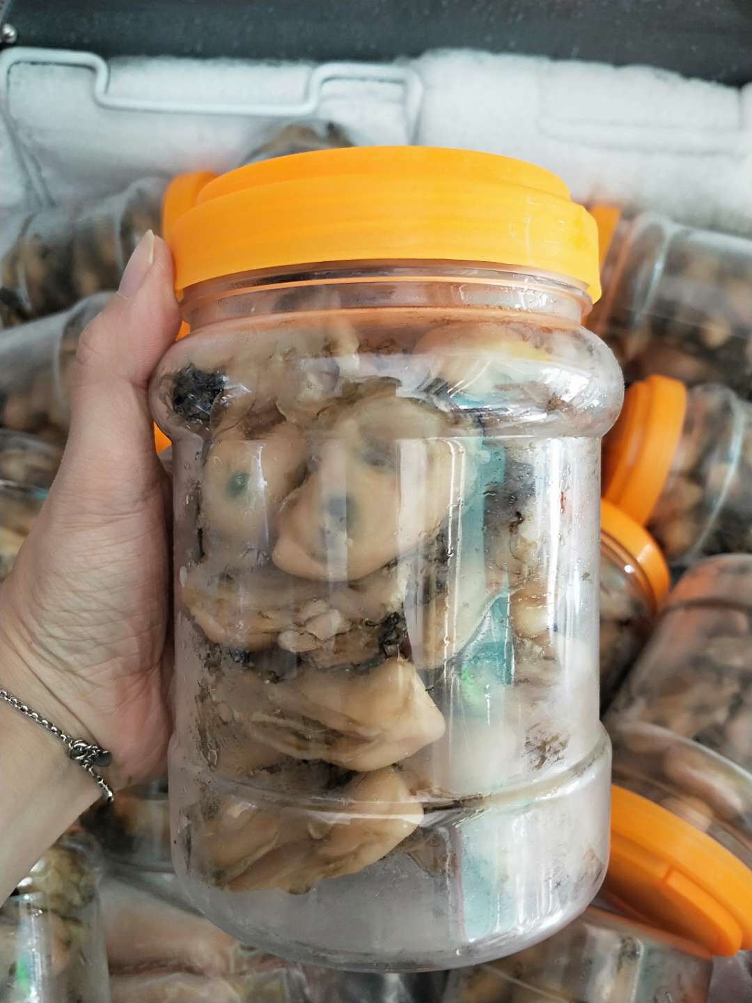 汕尾生蚝干牡蛎干海蛎干500g广东潮汕特产地方特色年货天然无添加