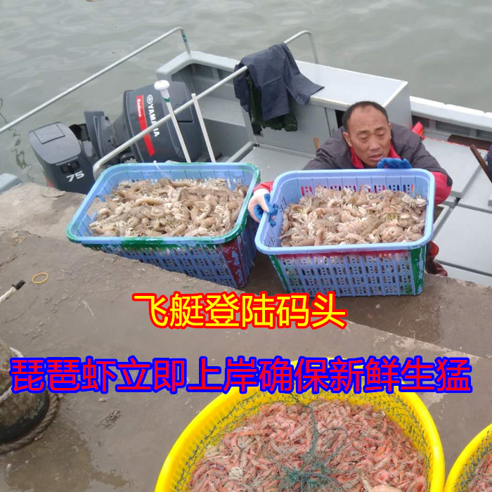直播汕尾马宫海鲜特产野生皮皮虾富贵虾濑尿虾爬虾蛄1份1斤500克