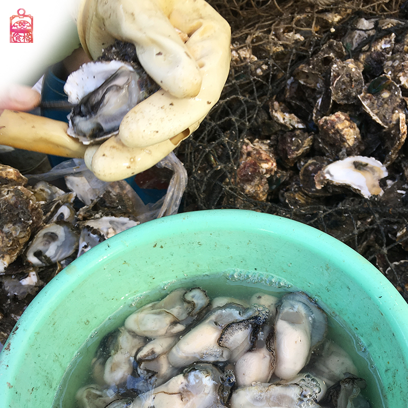 汕头特产潮州特产 生腌海鲜牡蛎 即食 每天新鲜制作 生蚝250g