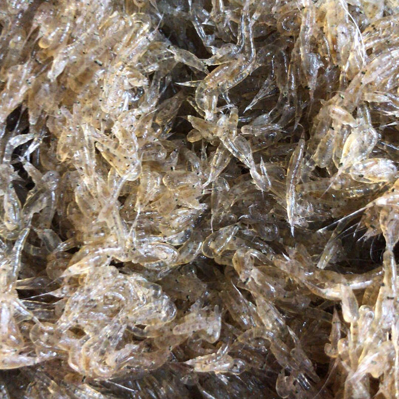 野生小虾 虾春 小白虾 250g
