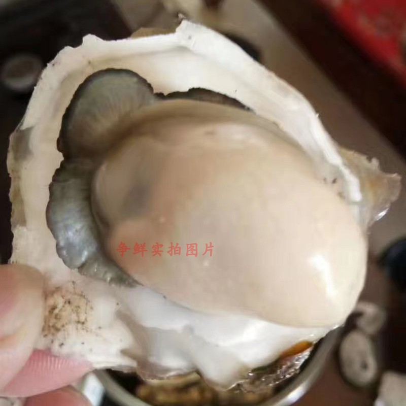 牡蛎肉现剥生蚝肉野生新鲜海鲜当天鲜活生蚝潮州海蛎子 一份250g