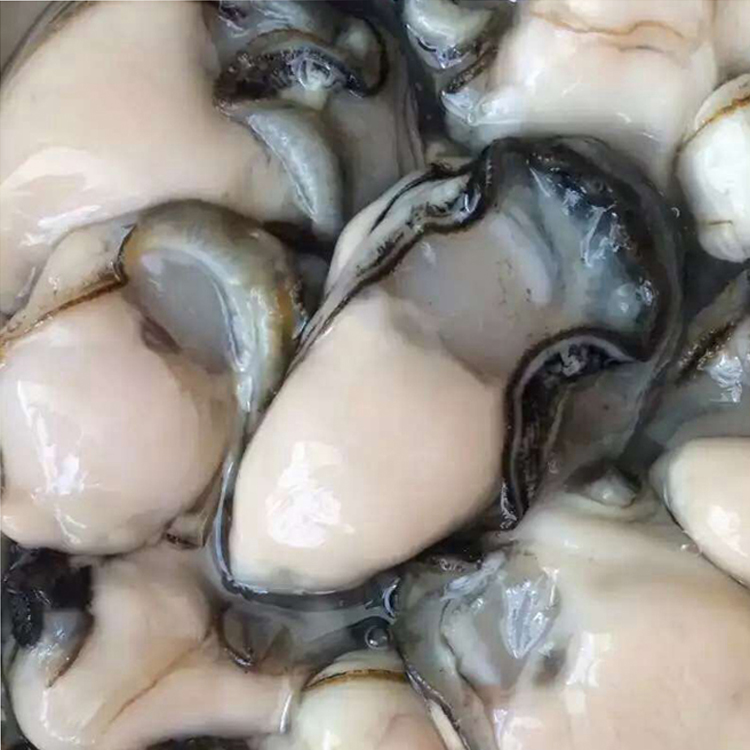 新鲜海蛎子 现剥珠蚝 小牡蛎 野生生蚝肉 蚝仔烙和蚵仔煎250g一份