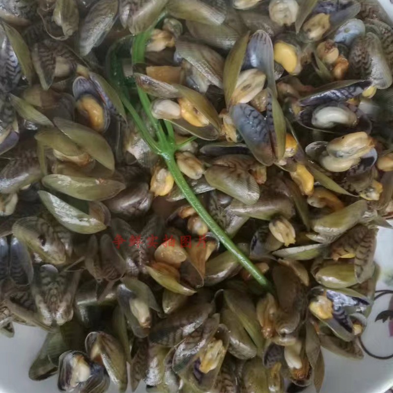 潮汕特产鲜活薄壳米250g 海鲜海瓜子鲜甜海产贝类 送金不换